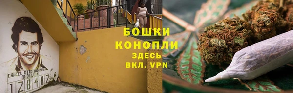 амф Переславль-Залесский
