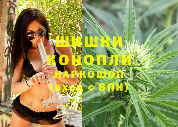 твердый Пересвет