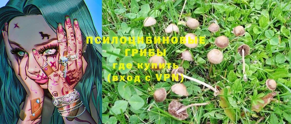 амф Переславль-Залесский