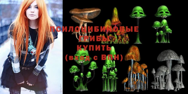 твердый Пересвет